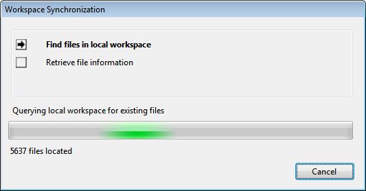 Workspace Sync Scanning Local Working Folder