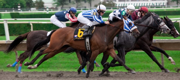 Horses Racing